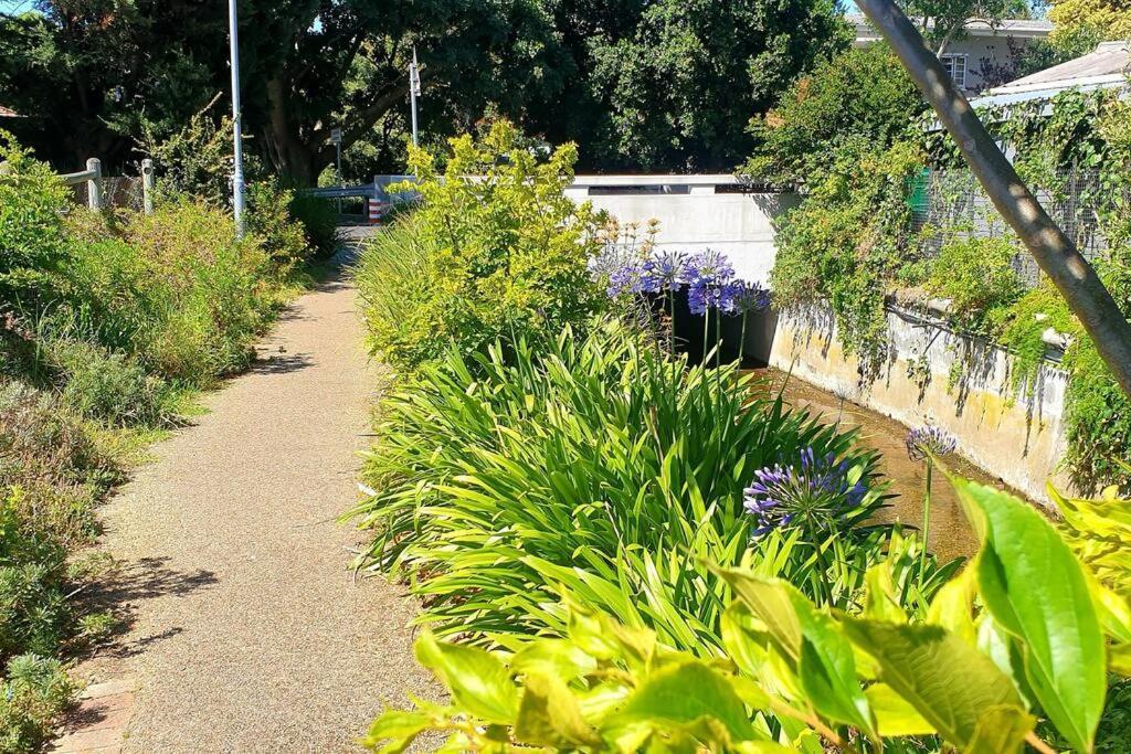 The Rondebosch Easy Living Apartment Cape Town Luaran gambar
